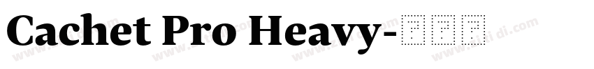 Cachet Pro Heavy字体转换